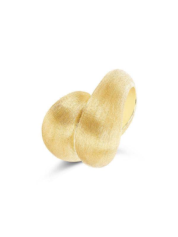Anello Trasformista