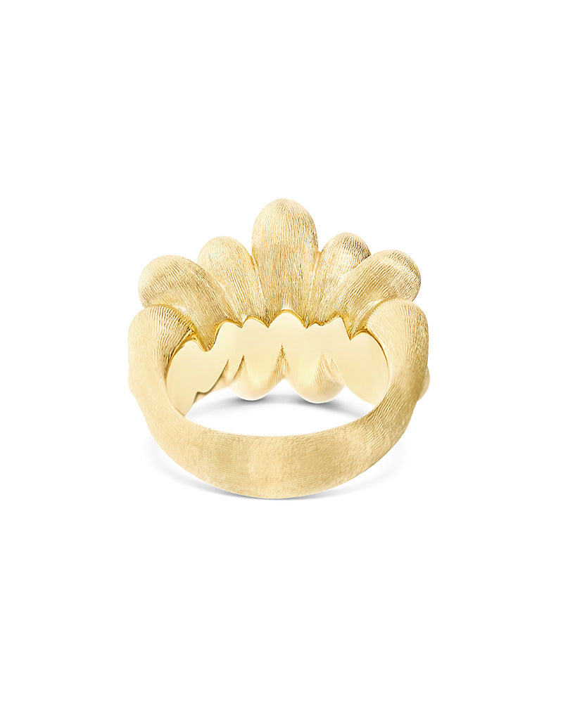 Anello Trasformista