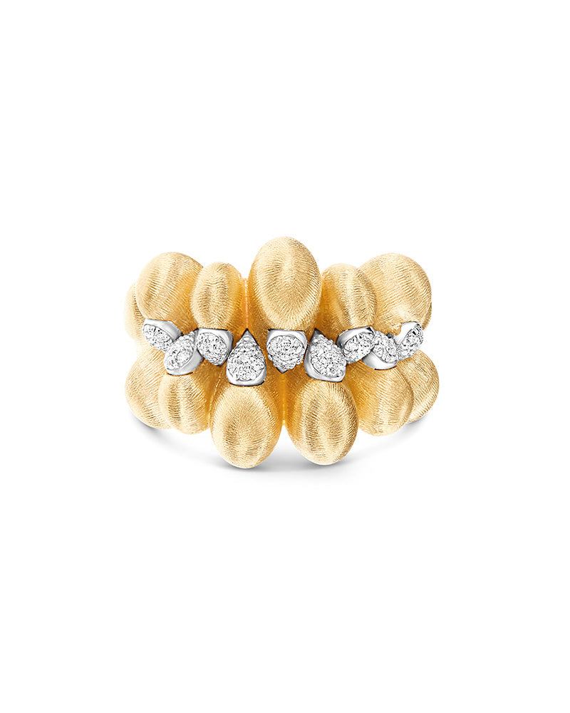 Anello Trasformista
