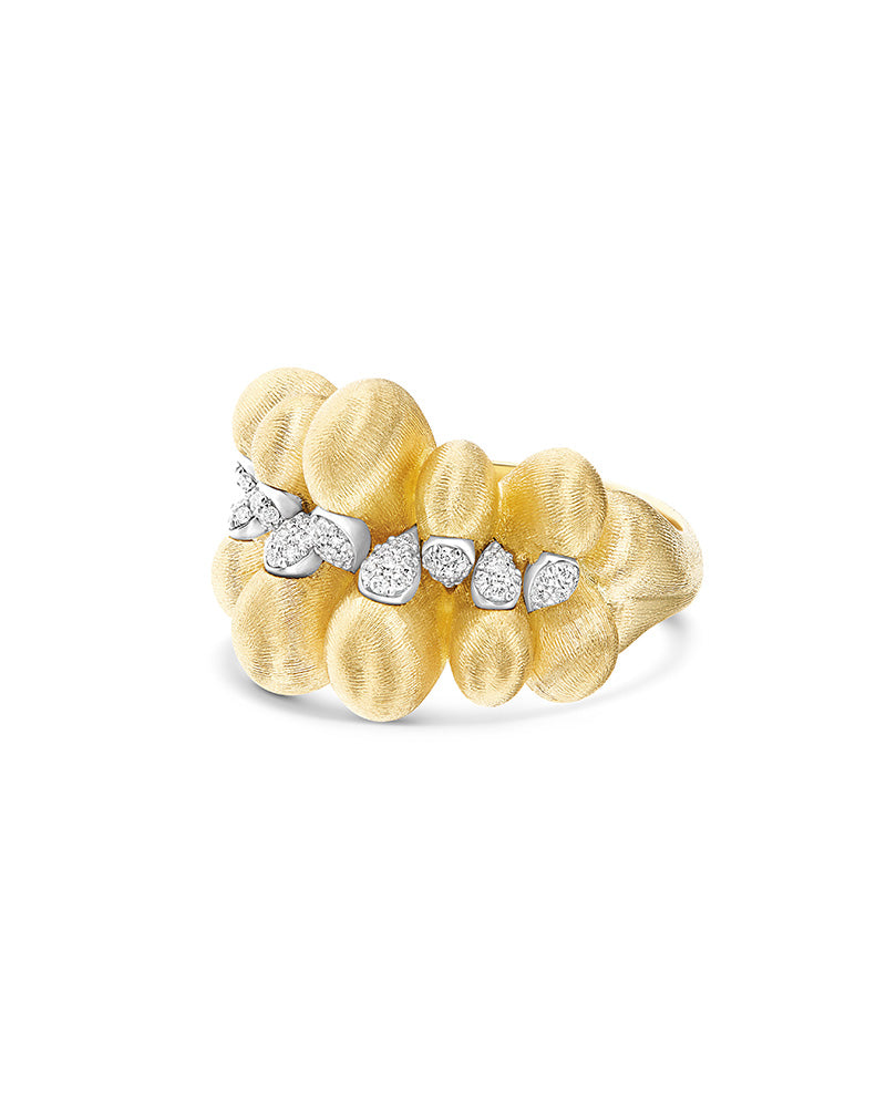 Anello Trasformista
