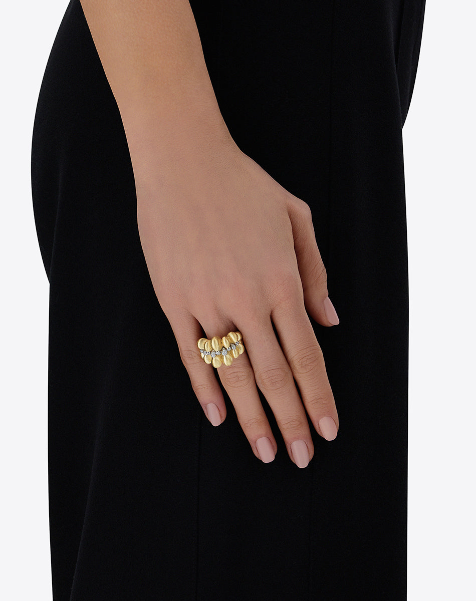 Anello Trasformista