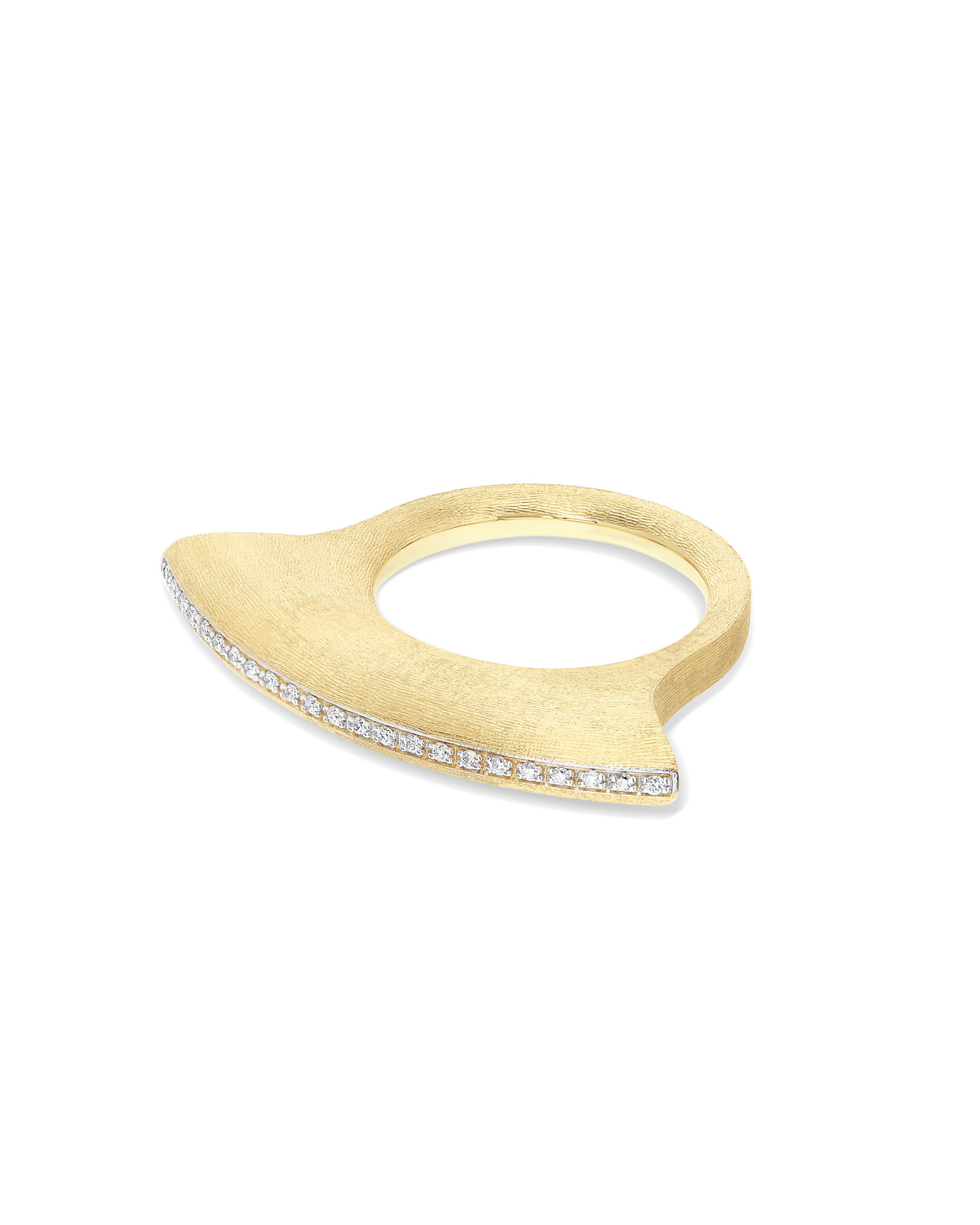 Anello Libera Icon