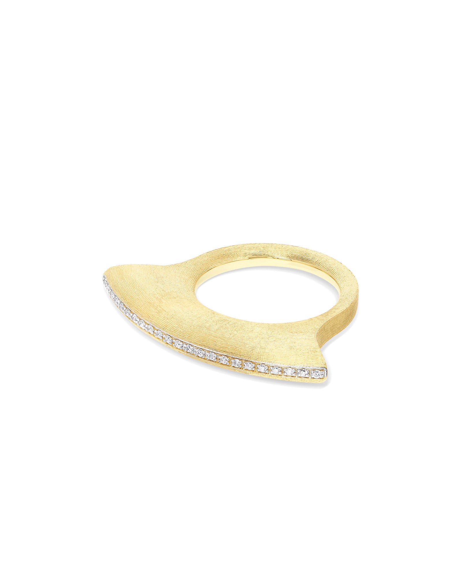 Anello Libera Icon